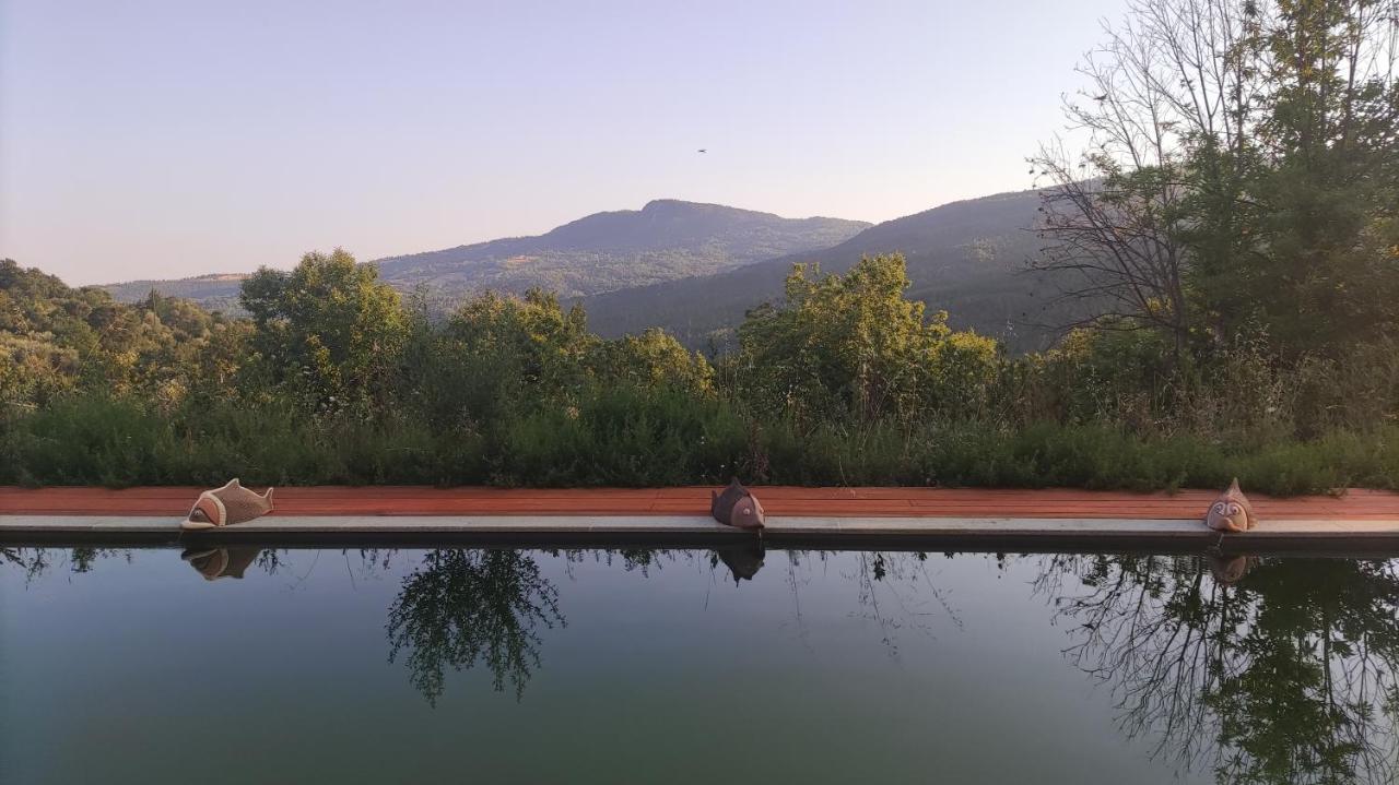 Podere Di Maggio - Casa Della Nonna Santa Fiora Eksteriør billede
