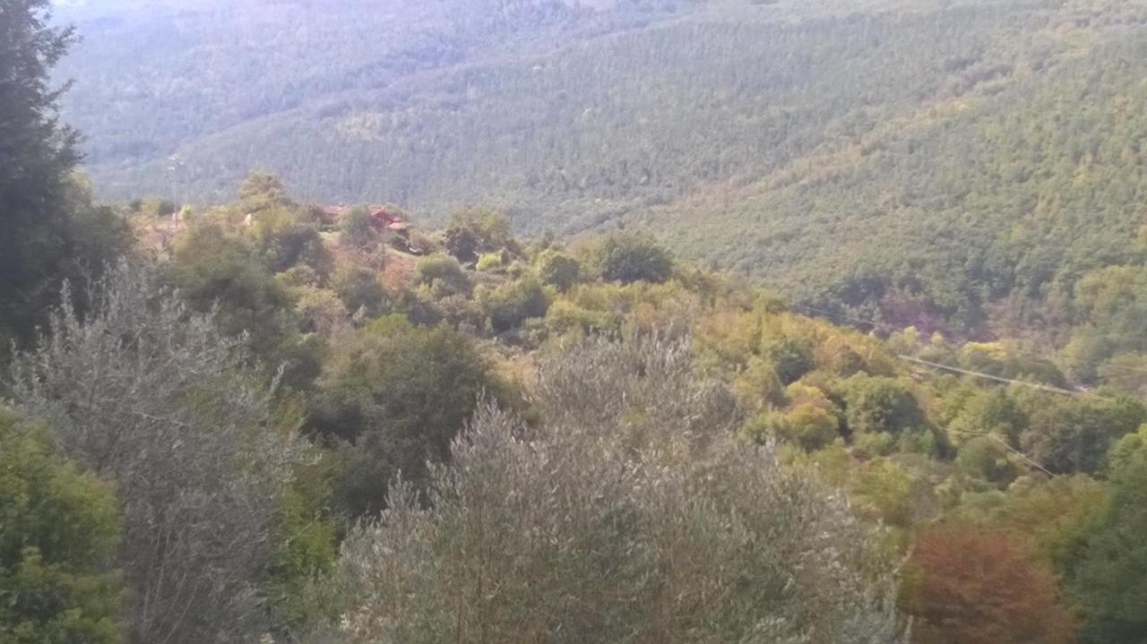Podere Di Maggio - Casa Della Nonna Santa Fiora Eksteriør billede