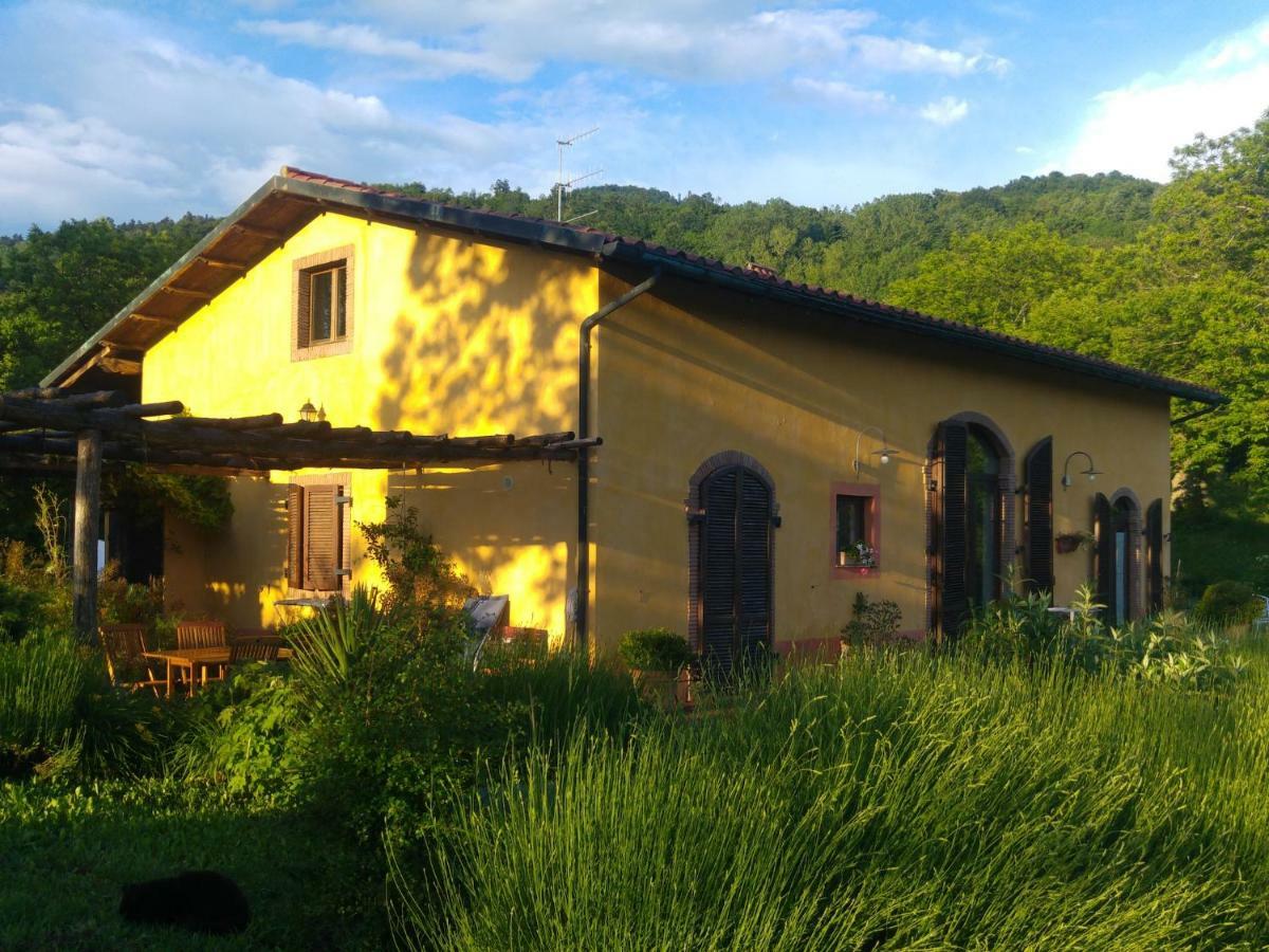 Podere Di Maggio - Casa Della Nonna Santa Fiora Eksteriør billede