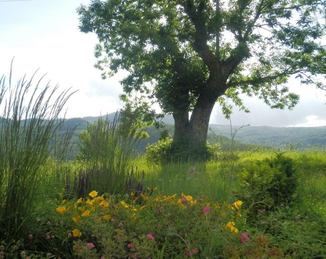 Podere Di Maggio - Casa Della Nonna Santa Fiora Eksteriør billede