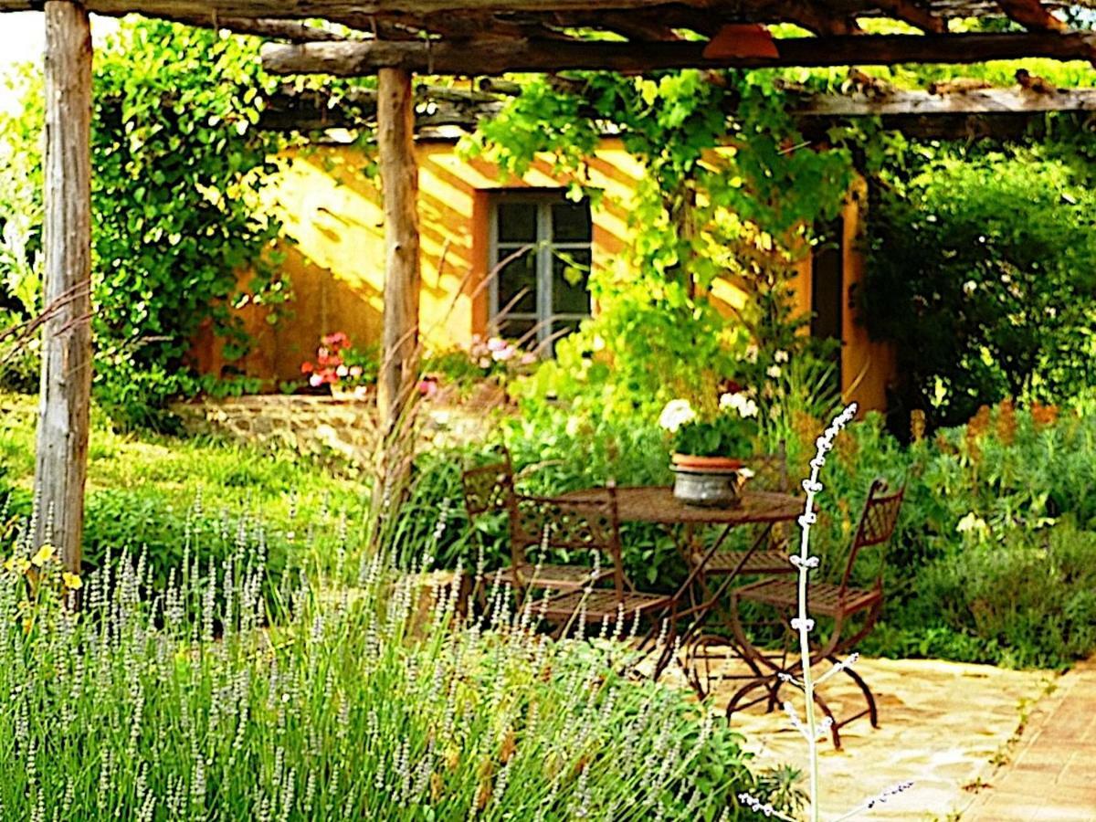 Podere Di Maggio - Casa Della Nonna Santa Fiora Eksteriør billede
