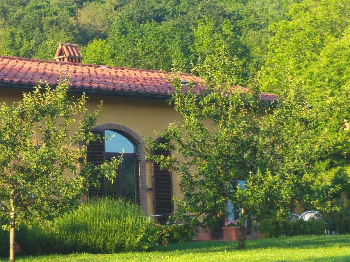 Podere Di Maggio - Casa Della Nonna Santa Fiora Eksteriør billede